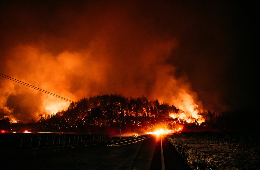 The Effects of Wildfire Smoke Exposure on Human Health and Disease 